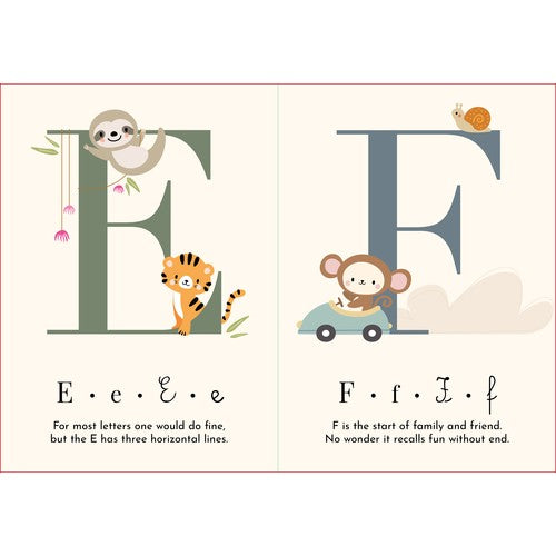My First Alphabet Cards and Book