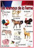 French Farm Animals