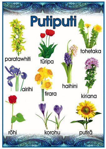 Māori Flowers