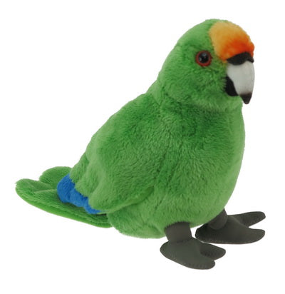 Kakariki (Parakeet) with Sound