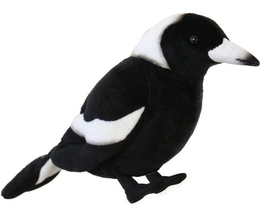 Magpie with Sound