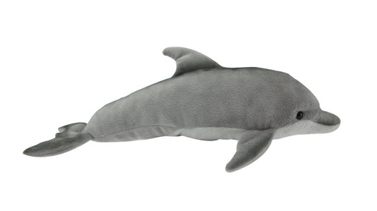 Bottlenose Dolphin with Sound