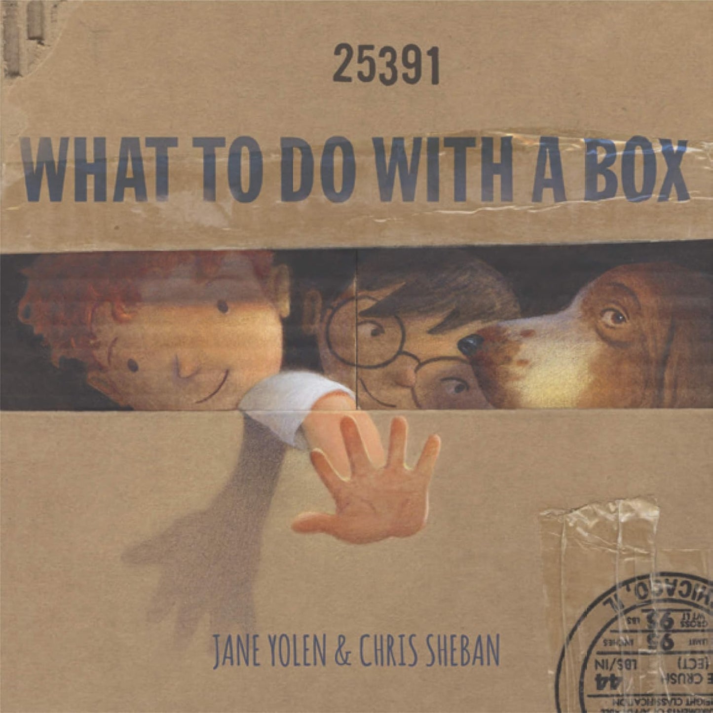 What To Do With a Box (Hard Cover)