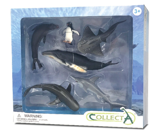 CollectA Boxed Set - Sea Life 6pc