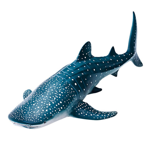 RECUR - Whale Shark