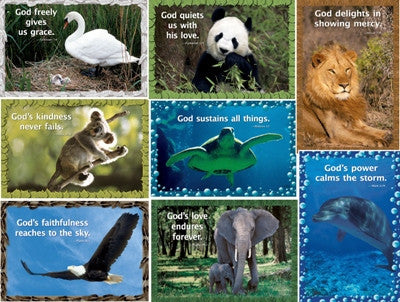 8 Posters- God Our Creator