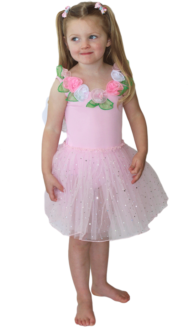 Fairy Dust Light Pink Dress Up