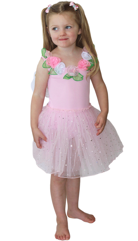 Fairy Girls Fairy Dust Dress - Medium