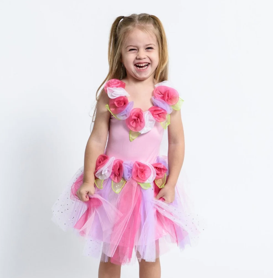 Enchanting Fairy Dress - Pink - (Small)