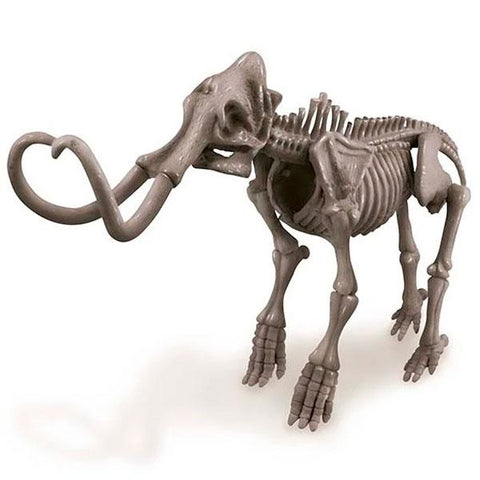 Dig a Dinosaur Skeleton - Mammoth
