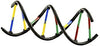 Genetics & DNA Experiment Kit