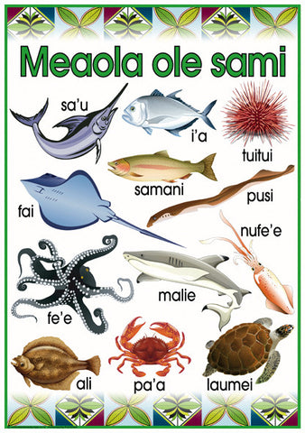 Samoan Sea Creatures