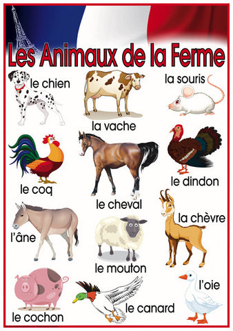 French Farm Animals