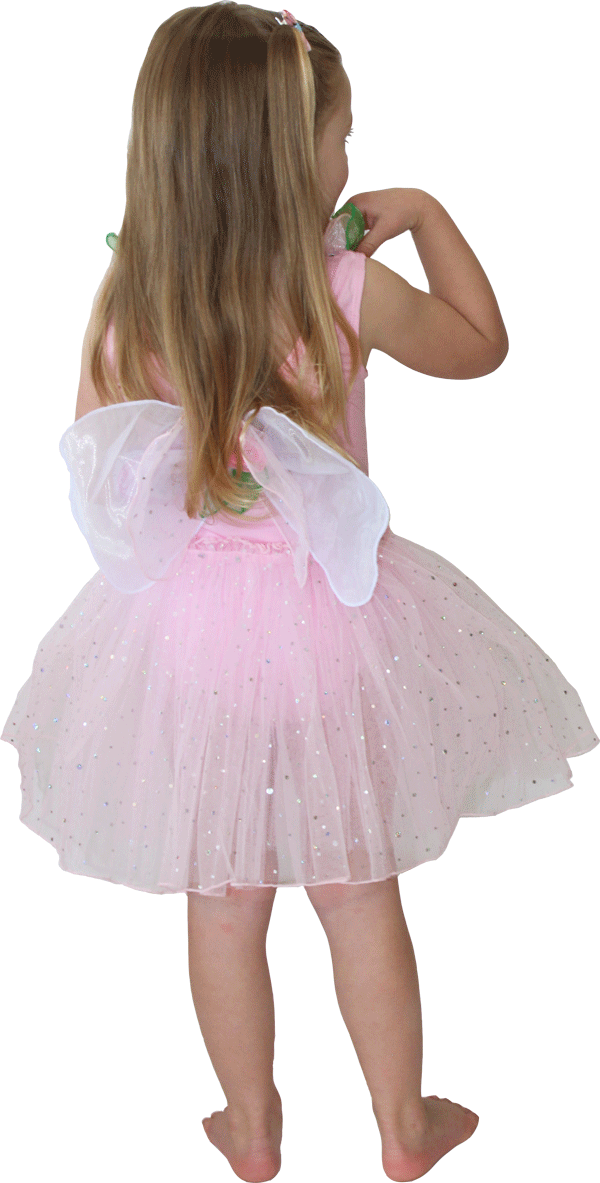 Fairy Dust Light Pink Dress Up