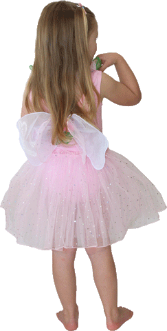 Fairy Dust Light Pink Dress Up